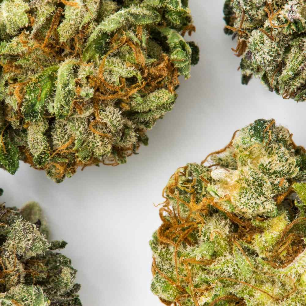 Acquista la Migliore Cannabis Light a Cagliari - Qualità Superiore